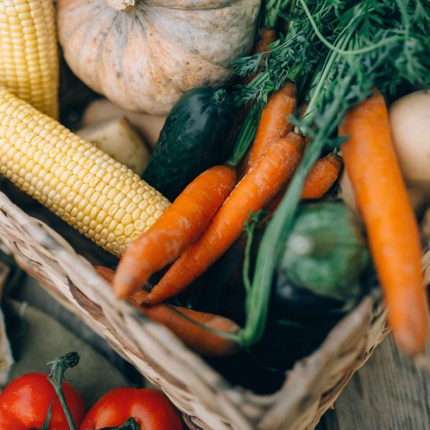 Pestel marché bio : quelles forces menacent ton activité ?