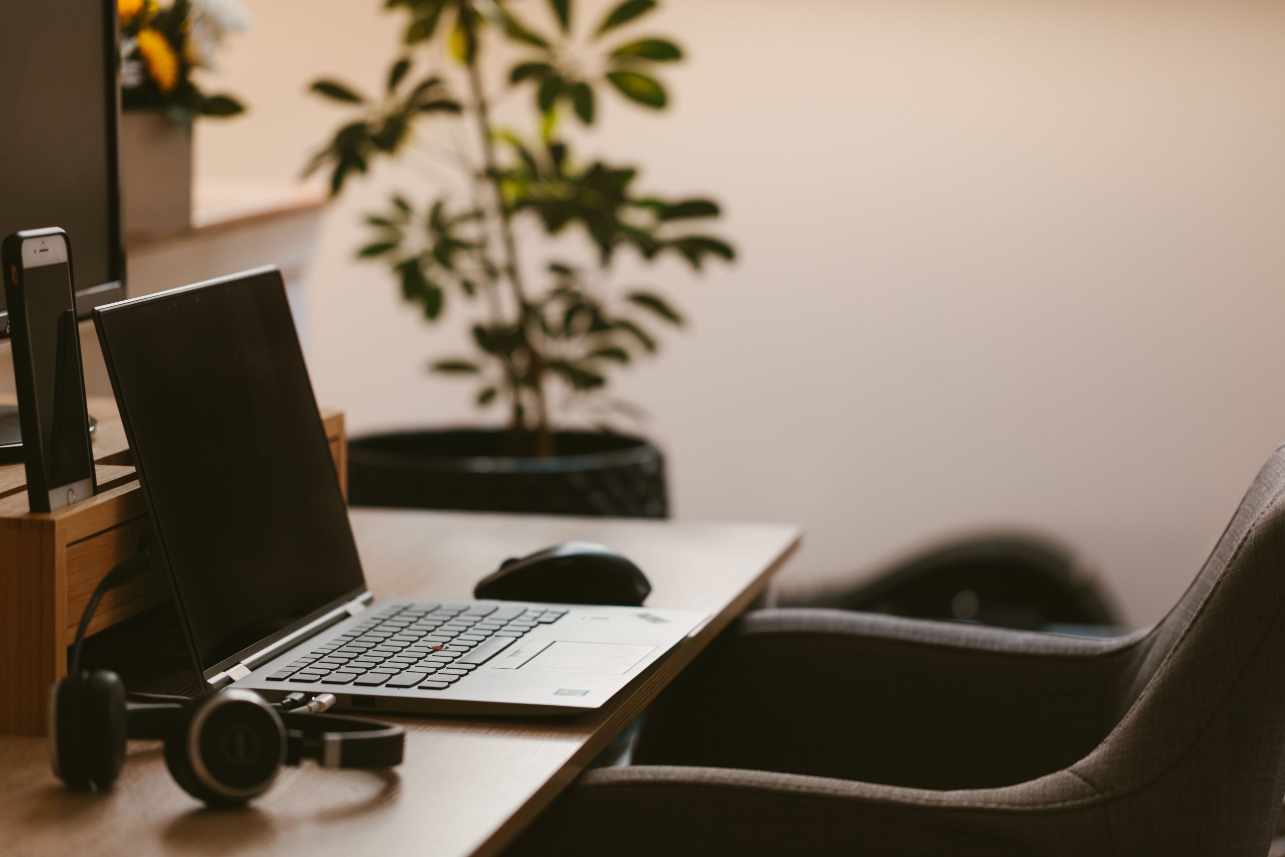 Espace de travail confortable avec ordinateur portable et plante verte